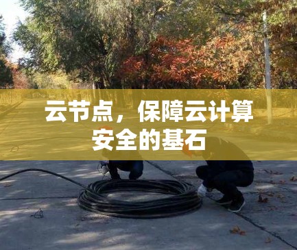 云节点，保障云计算安全的基石