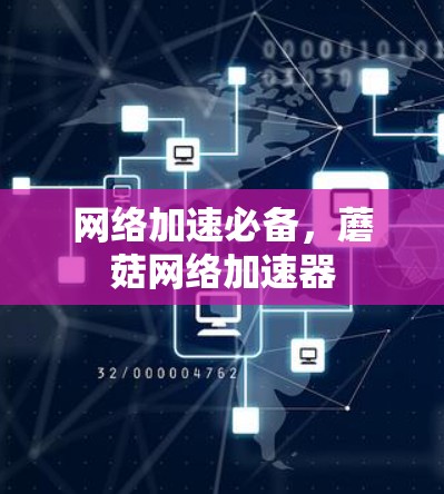 网络加速必备，蘑菇网络加速器