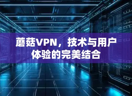 蘑菇VPN，技术与用户体验的完美结合