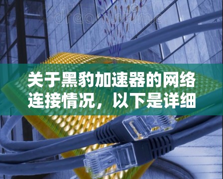 关于黑豹加速器的网络连接情况，以下是详细的分析和建议