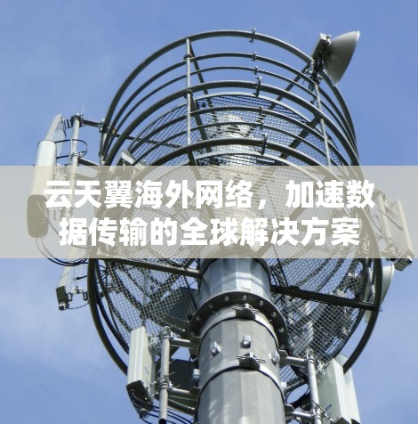 云天翼海外网络，加速数据传输的全球解决方案