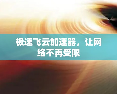 极速飞云加速器，让网络不再受限