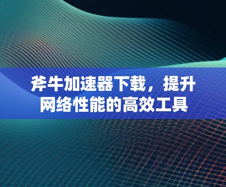 斧牛加速器下载，提升网络性能的高效工具