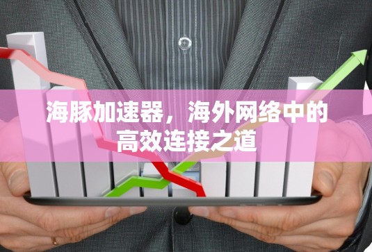 海豚加速器,海外网络中的高效连接之道
