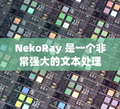 NekoRay 是一个非常强大的文本处理工具，支持多种编程语言，包括 Java、Python、C、C+和 JavaScript。以下是关于 NekoRay 的详细说明
