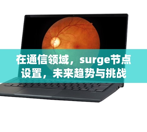 在通信领域,surge节点设置,未来趋势与挑战