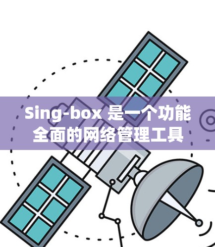 Sing-box 是一个功能全面的网络管理工具,适合用于企业或个人的网络管理。以下是对Sing-box网络设置的详细指南