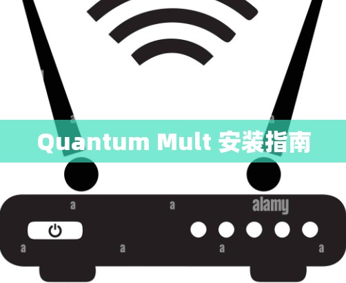 Quantum Mult 安装指南