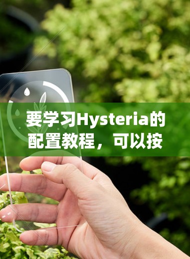 要学习Hysteria的配置教程,可以按照以下步骤进行