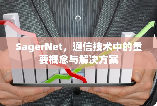SagerNet,通信技术中的重要概念与解决方案 SagerNet,通信技术中的重要概念与解决方案