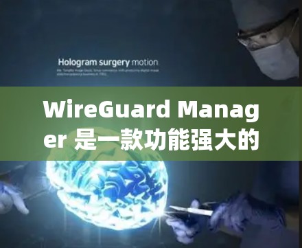 WireGuard Manager 是一款功能强大的安全设备管理工具,旨在为用户和组织提供安全配置管理功能。以下是一个详细的配置指南,涵盖 WireGuard Manager 的主要功能和配置步骤 WireGuard Manager 是一款功能强大的安全设备管理工具,旨在为用户和组织提供安全配置管理功能。以下是一个详细的配置指南,涵盖 WireGuard Manager 的主要功能和配置步骤