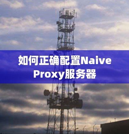 如何正确配置NaiveProxy服务器