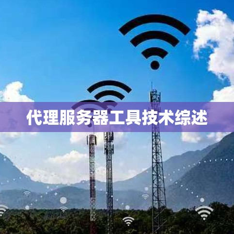 代理服务器工具技术综述 代理服务器工具技术综述