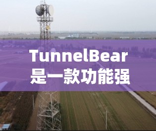 TunnelBear 是一款功能强大的工具,主要用于开发、测试和管理。以下是一些使用TunnelBear的指南 TunnelBear 是一款功能强大的工具,主要用于开发、测试和管理。以下是一些使用TunnelBear的指南
