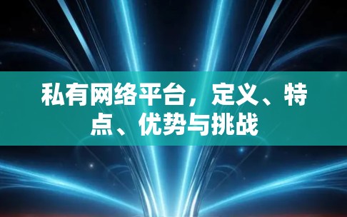 私有网络平台,定义、特点、优势与挑战 私有网络平台,定义、特点、优势与挑战
