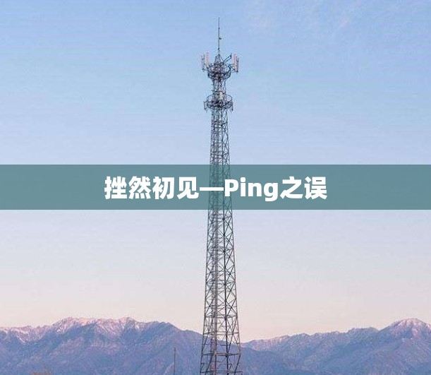 挫然初见—Ping之误
