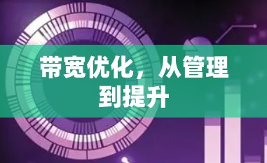 带宽优化,从管理到提升 带宽优化,从管理到提升