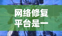 网络修复平台是一个专门用于处理网络故障和管理的综合平台,旨在帮助用户快速找到解决方案并优化网络环境。以下是该平台的详细介绍 网络修复平台是一个专门用于处理网络故障和管理的综合平台,旨在帮助用户快速找到解决方案并优化网络环境。以下是该平台的详细介绍