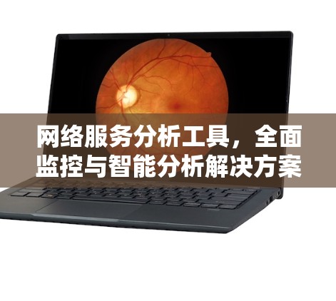 网络服务分析工具,全面监控与智能分析解决方案 网络服务分析工具,全面监控与智能分析解决方案