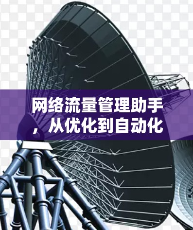 网络流量管理助手,从优化到自动化 网络流量管理助手,从优化到自动化
