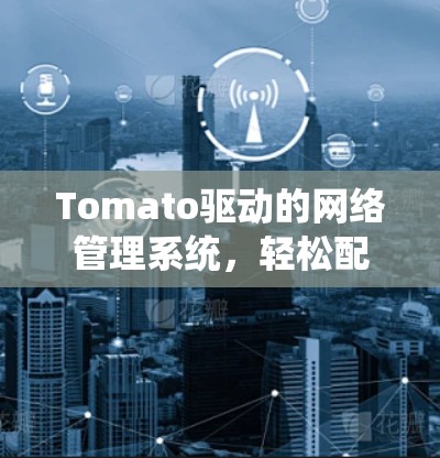 Tomato驱动的网络管理系统,轻松配置与高效性能 Tomato驱动的网络管理系统,轻松配置与高效性能