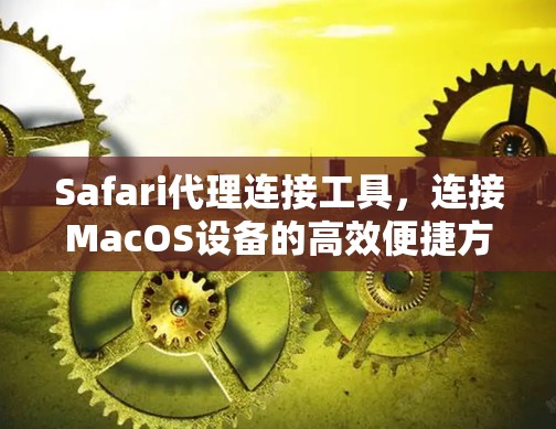 Safari代理连接工具,连接MacOS设备的高效便捷方法 Safari代理连接工具,连接MacOS设备的高效便捷方法