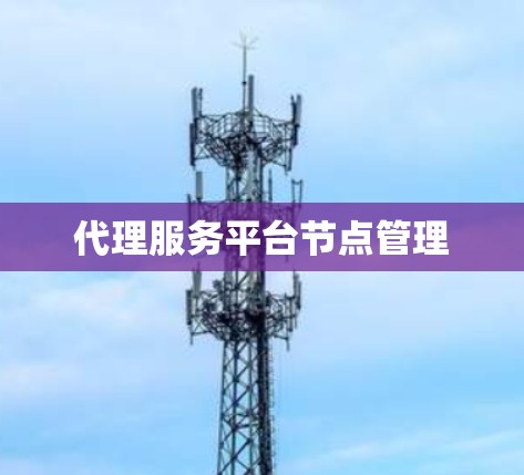 代理服务平台节点管理 代理服务平台节点管理
