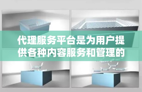 代理服务平台是为用户提供各种内容服务和管理的系统，涵盖音乐、影视、网络等多个领域。以下是对这些平台的详细分析