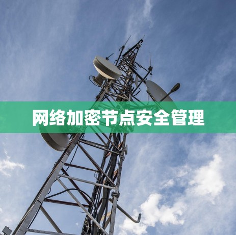 网络加密节点安全管理 网络加密节点安全管理
