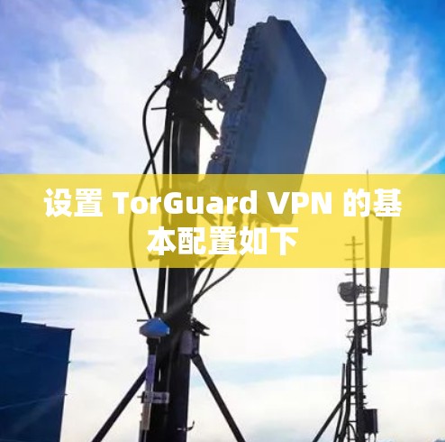 设置 TorGuard VPN 的基本配置如下