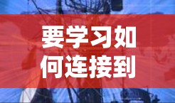 要学习如何连接到海外VPN，可以按照以下步骤进行