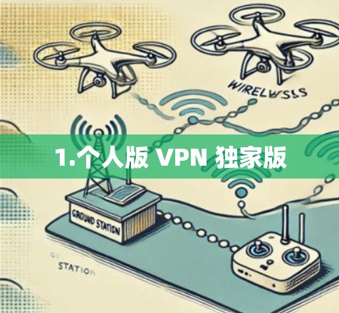 1.个人版 VPN 独家版 1.个人版 VPN 独家版