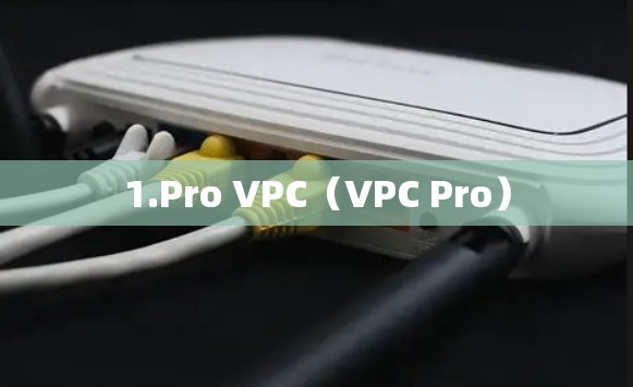 1.Pro VPC(VPC Pro) 1.Pro VPC(VPC Pro)