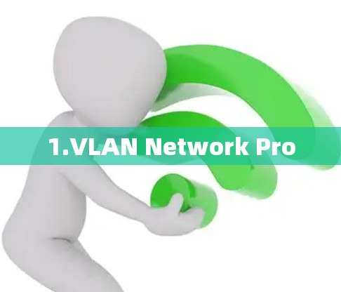 1.VLAN Network Pro 1.VLAN Network Pro