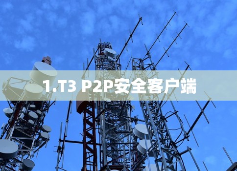 1.T3 P2P安全客户端 1.T3 P2P安全客户端
