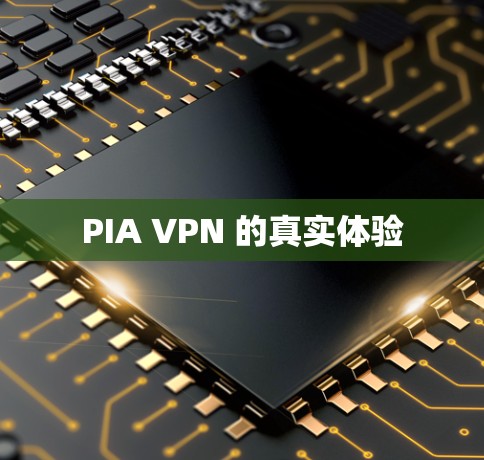 PIA VPN 的真实体验 PIA VPN 的真实体验