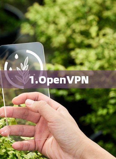 1.OpenVPN 1.OpenVPN
