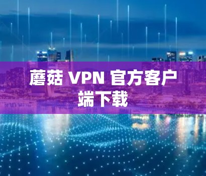 蘑菇 VPN 官方客户端下载