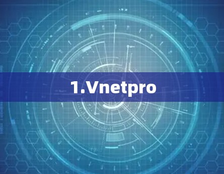 1.Vnetpro
