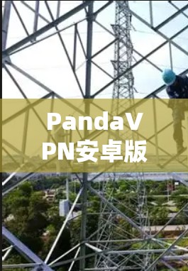 PandaVPN安卓版下载,安全可靠,轻松解决 VPN 疑难 PandaVPN安卓版下载,安全可靠,轻松解决 VPN 疑难