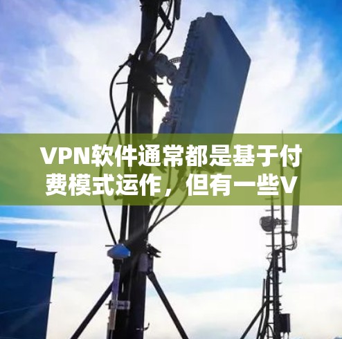 VPN软件通常都是基于付费模式运作，但有一些VPN服务提供免费版以满足用户的简单需求。这些免费版通常包含以下功能