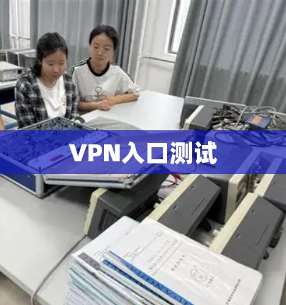 VPN入口测试 VPN入口测试