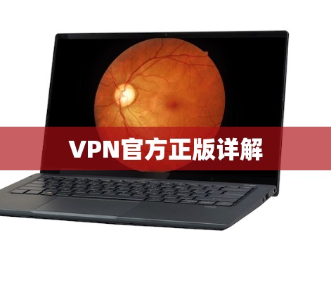 VPN官方正版详解