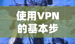 使用VPN的基本步骤如下 使用VPN的基本步骤如下