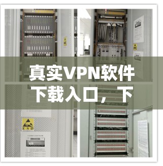 真实VPN软件下载入口，下载速度快，操作简单，保障你的网络安全！