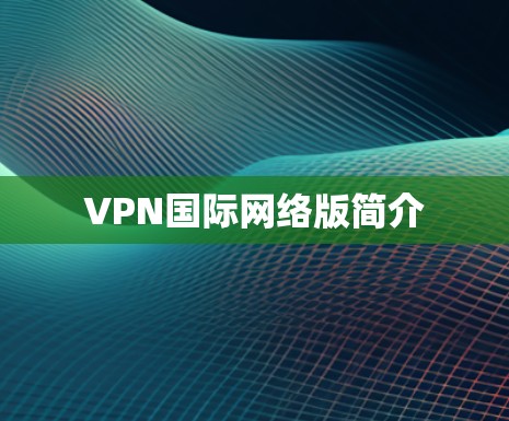 VPN国际网络版简介